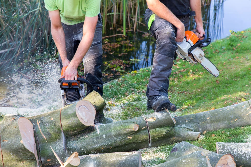 Kansas City Tree Service Pros Image